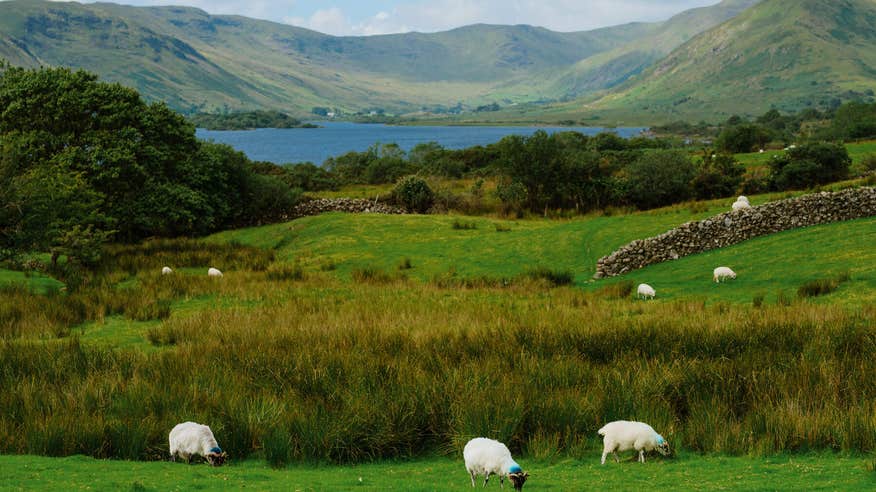 Roam the glacial shores of Lough Nafooey.