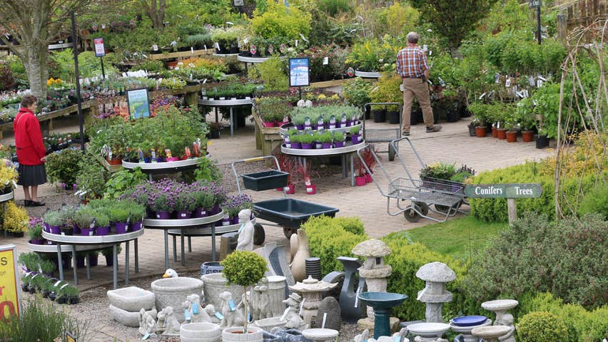 Outdoors at Beechdale Garden Centre Clonroche County Wexford
