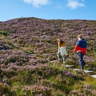 Friends ascending a path among flowers at the Ridge of Capard.