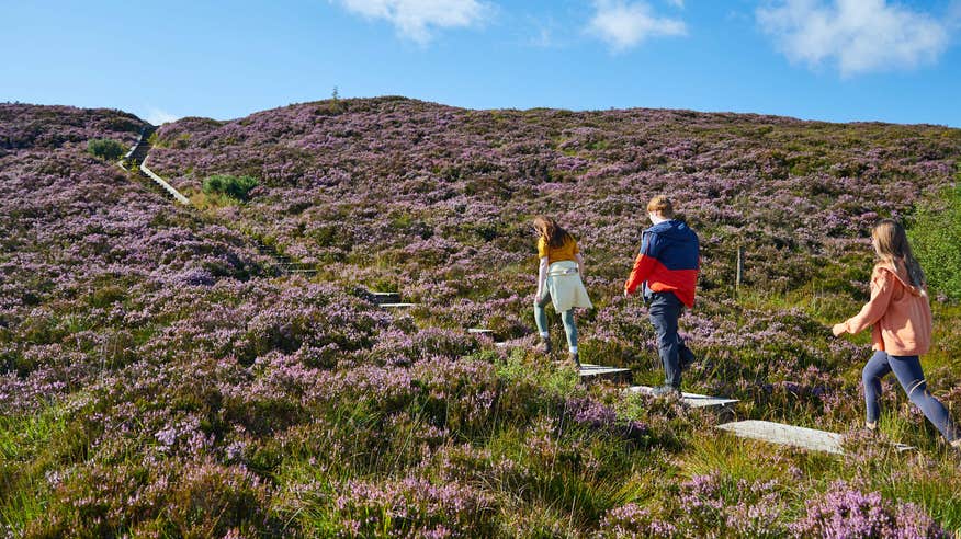 Friends ascending a path among flowers at the Ridge of Capard.