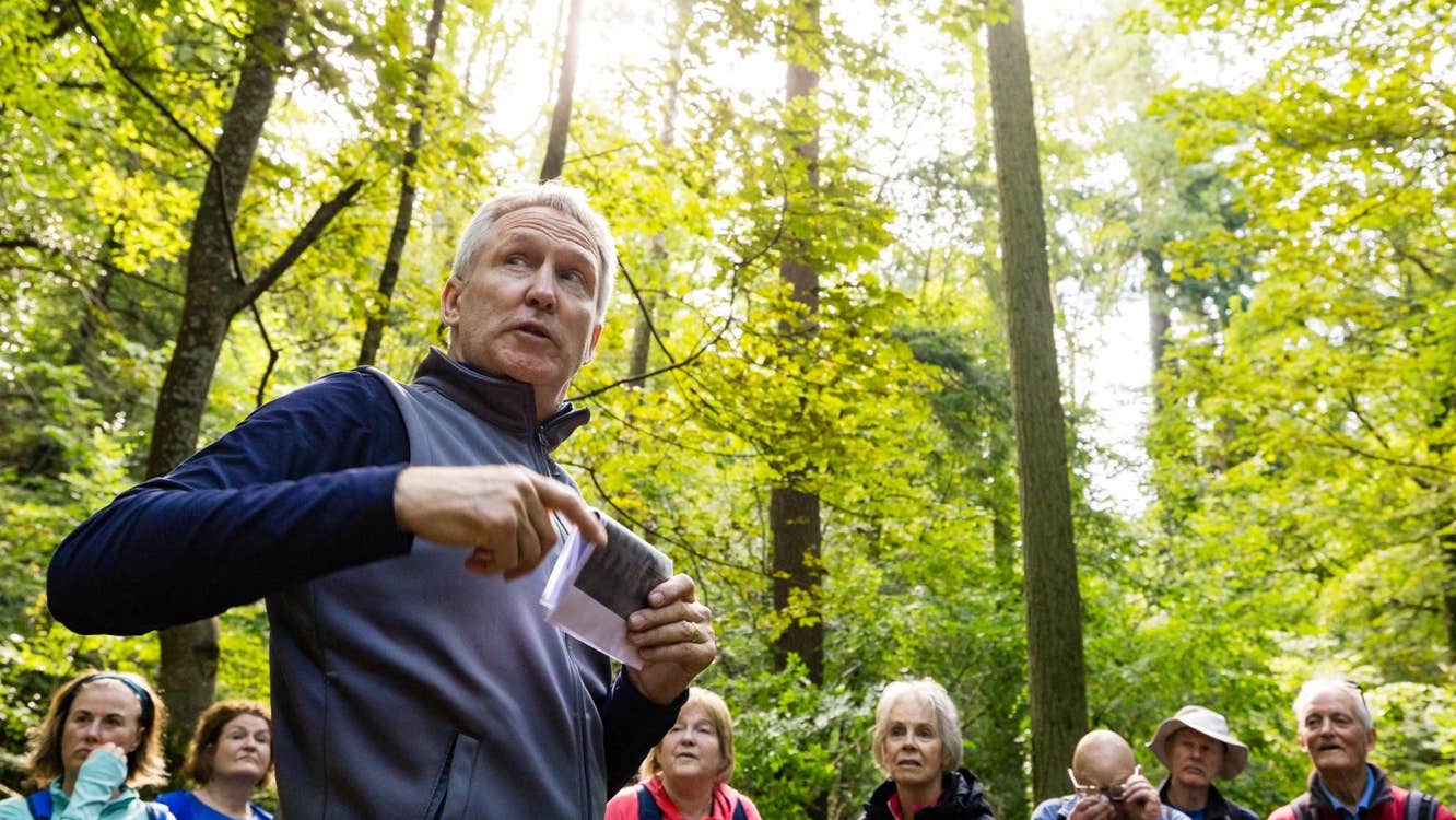 A group of people on a tour in the woods with Boyne Valley Trails