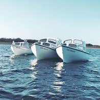 Lakeside Day Boat Tour view of three boats on the water