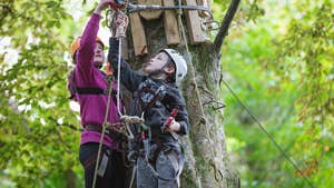Image of tree climbers