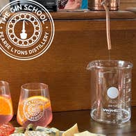 The Gin School Experience - Pearse Lyons