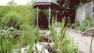 The Watergarden Garden Centre