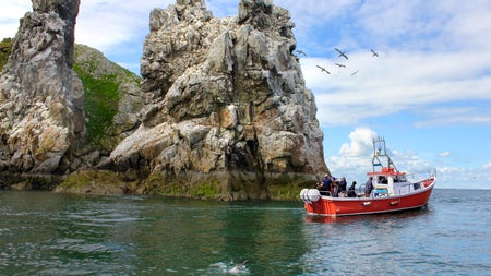 A boat with passengers passing by a rocky cliff