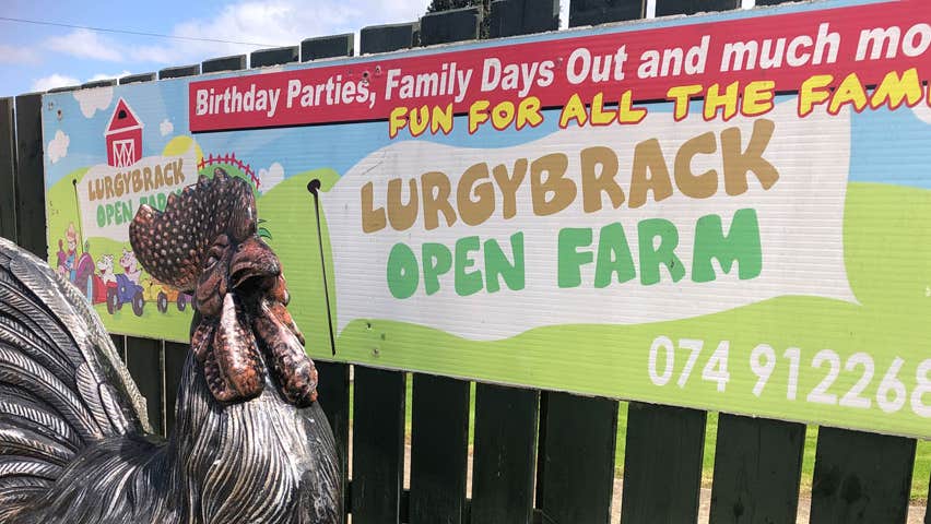 A sculpture of a rooster at the entrance sign for Lurgybrack Open Farm at Letterkenny