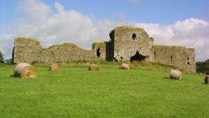 Ballymoon Castle