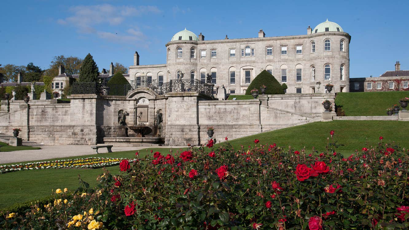 Red and yellow roses on a lawn outside Powerscourt House and Gardens