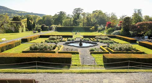 Glorious trees, shrubs and a water feature at Killruddery House and Gardens