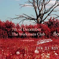 Raining in December Flowers EP Launch