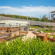 A view of the zip and trek area at Wildlands in County Galway