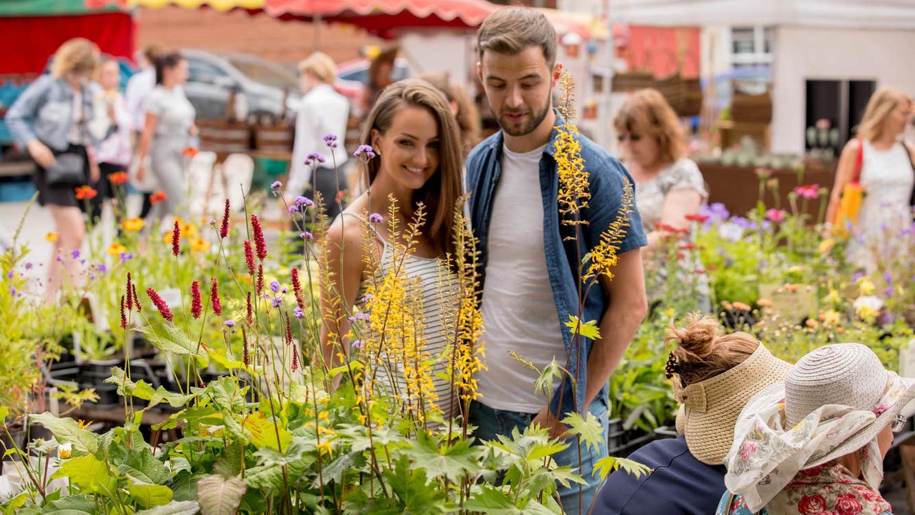 Couple looking at flowers at the Kilkenny Farmers Market