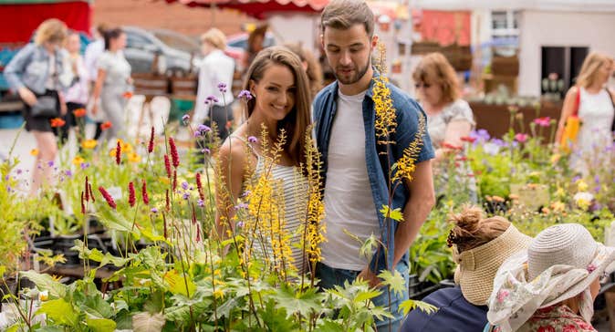 Couple looking at flowers at the Kilkenny Farmers Market