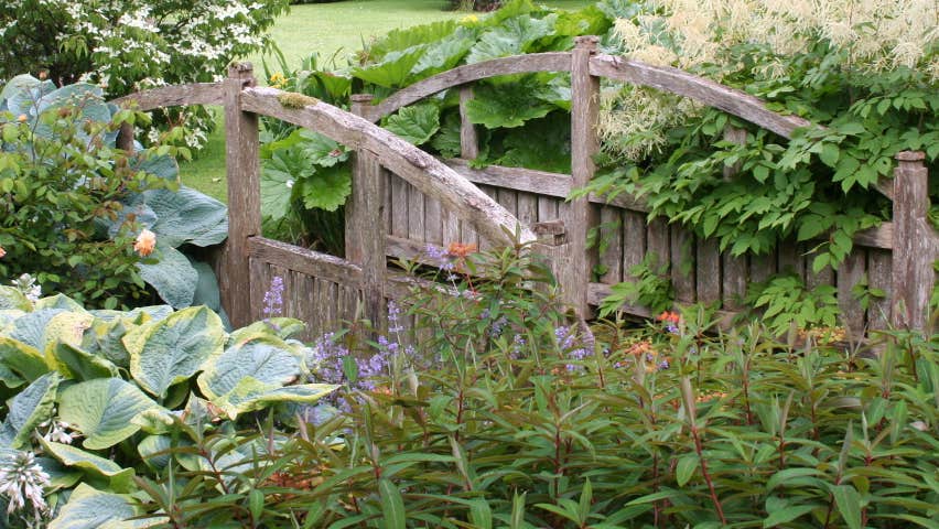 A wooden bridge to a riverside walk