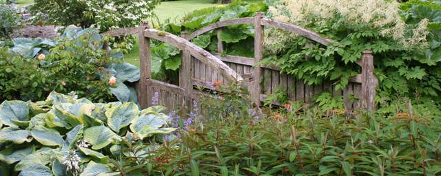Gash Gardens, Castletown, Laois
