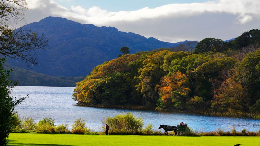 View of the lake and mountains, Killarney, Co. Kerry