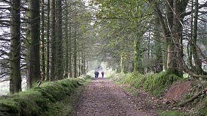 Walking in the Slieve Blooms