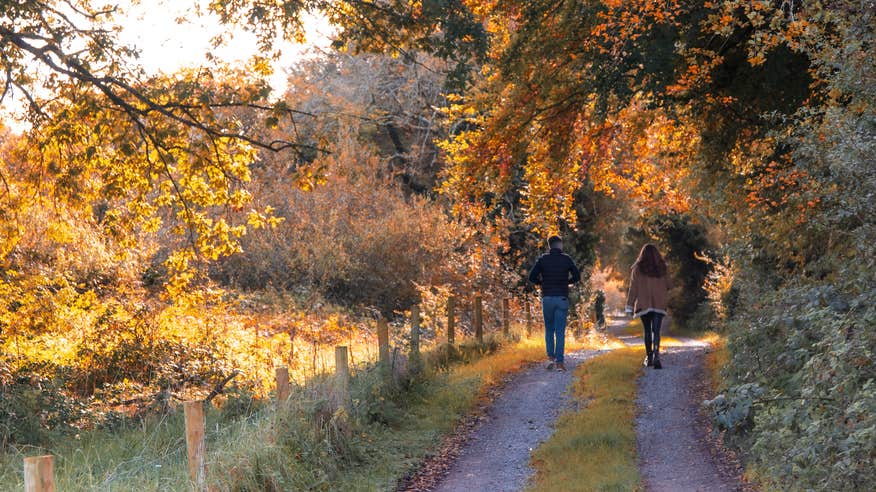 People walking in Yew Point forest in County Roscommon