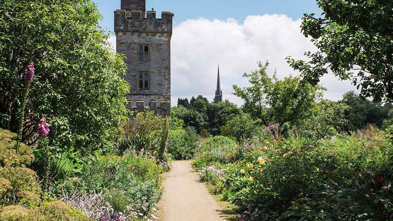 Flowers by the sides of a foot path leading to Lismore Castle
