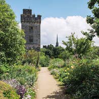 Flowers by the sides of a foot path leading to Lismore Castle