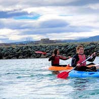 Image of people kayaking in harbour at Dun Laoghaire