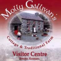 A photo of Molly Gallivan's Cottage & Traditional Farm in Kerry on a red background.