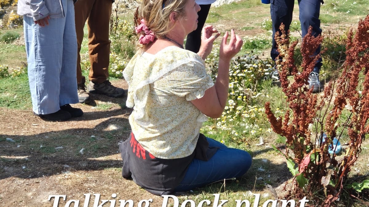 Foraging Tour on Ireland's Eye, Howth Co. Dublin - a woman seated on the ground talking about a plant to group of 4 people standing around her, near a cliff edge.