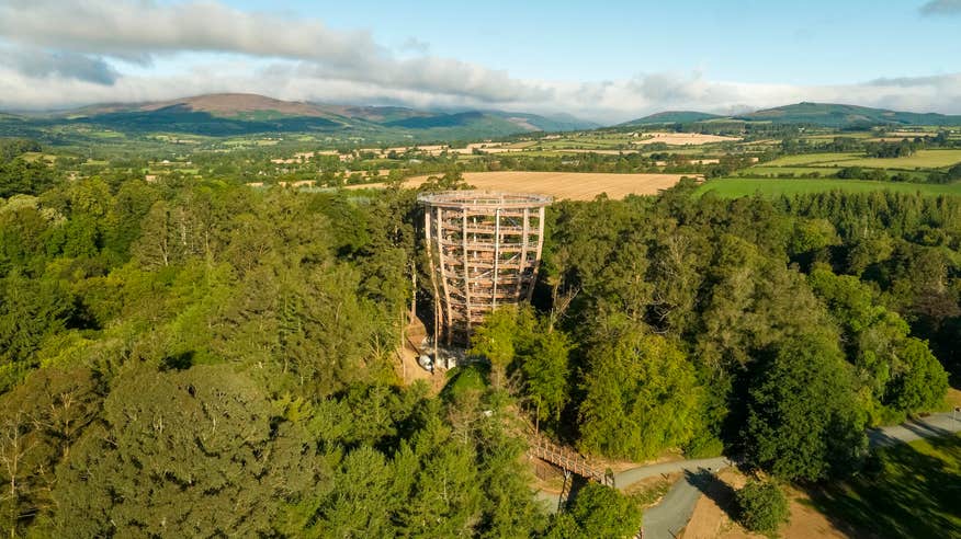 Beyond the Trees Avondale in Co Wicklow