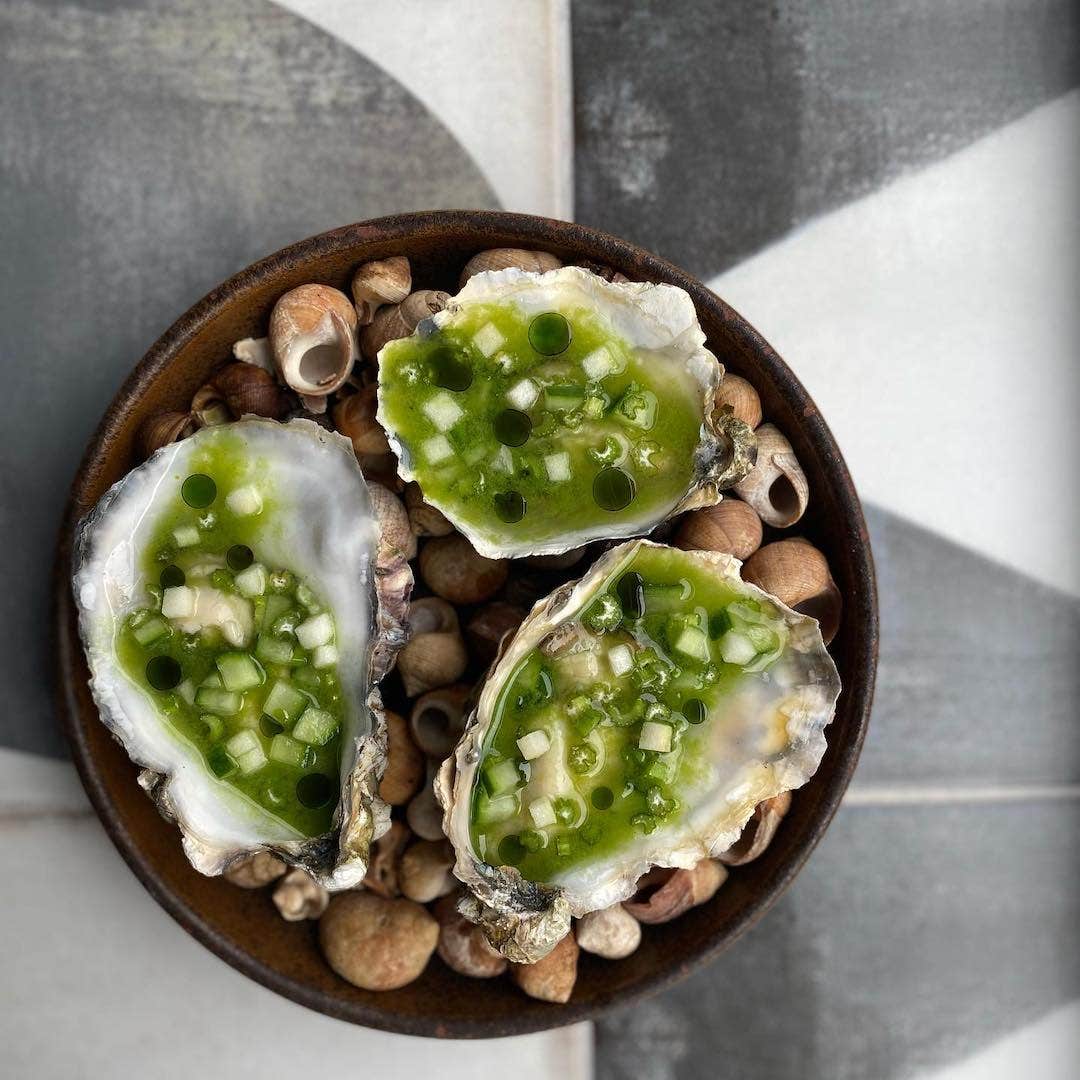 Overhead shot of a seafood dish, containing oysters garnished with scallions.
