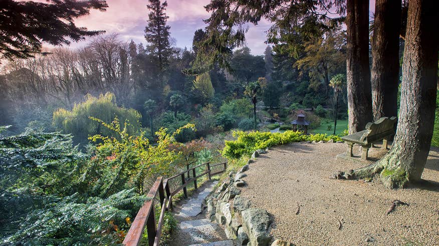 A trail at Powerscourt House And Gardens in County Wicklow