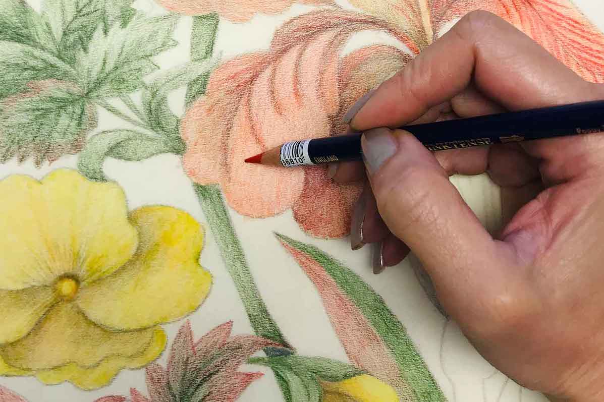 Close up shot of a hand holding a coloured pencil on a drawing of flowers in yellow and peach with green stems and leaves