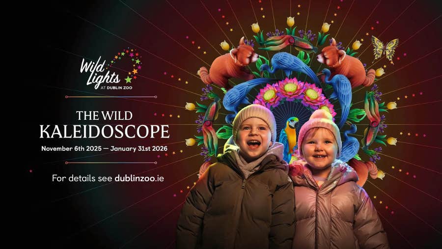 From November 6th, 2025 to January 31st 2026, Wild Lights returns to Dublin Zoo with its most dazzling theme yet. Step into The Wild Kaleidoscope at Dublin Zoo this winter to explore 13 kaleidoscopic zones bursting with vibrant colour.