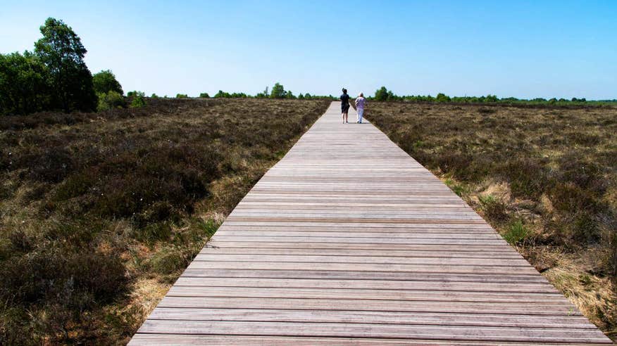 Two people walking on a wooden path on a sunny day at Corlea Trackway in Longford