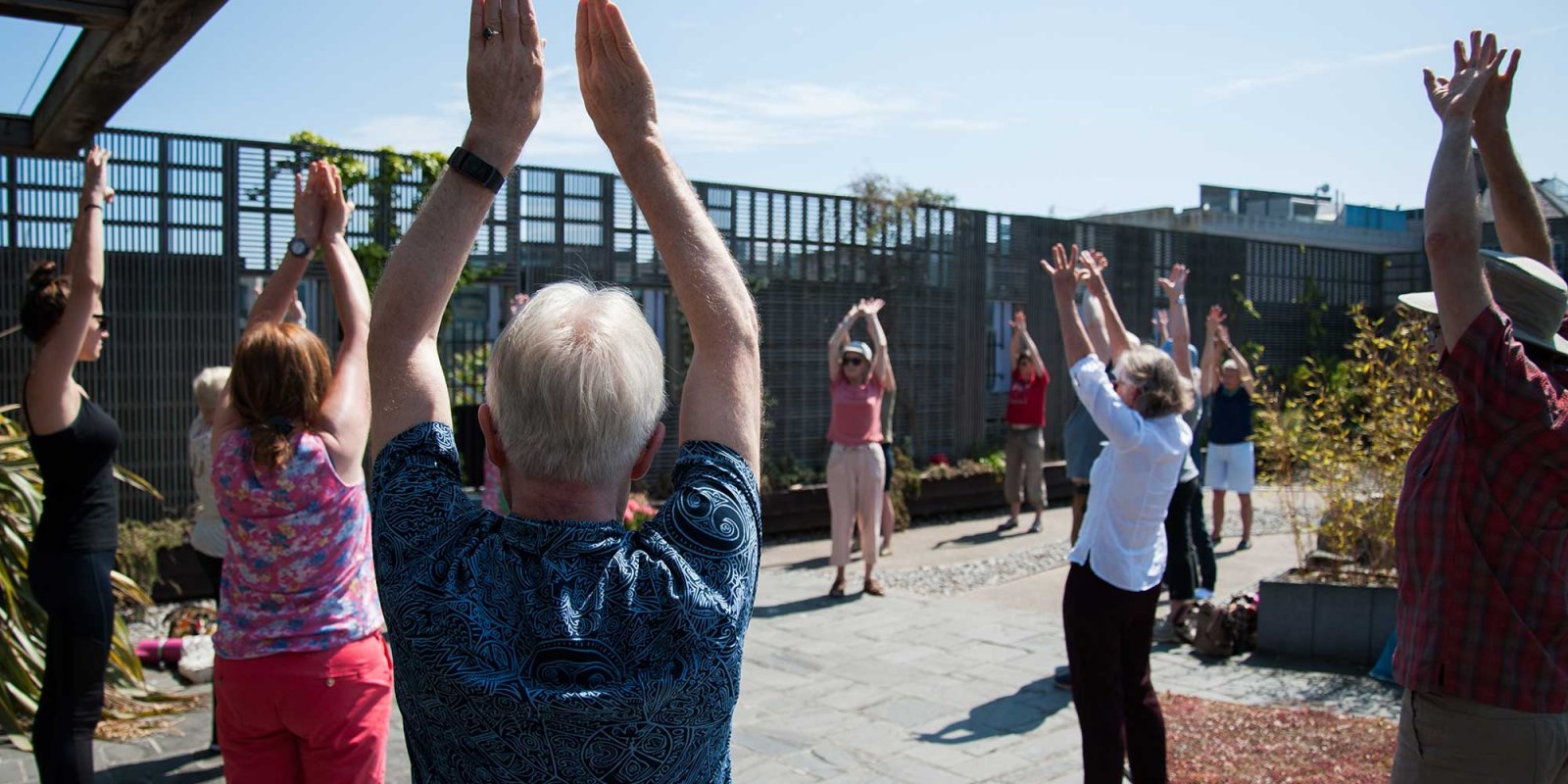 Qigong at the Rooftop Garden