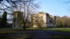 Trees in front of a large house in a park in Donadea Forest Park, County Kildare.