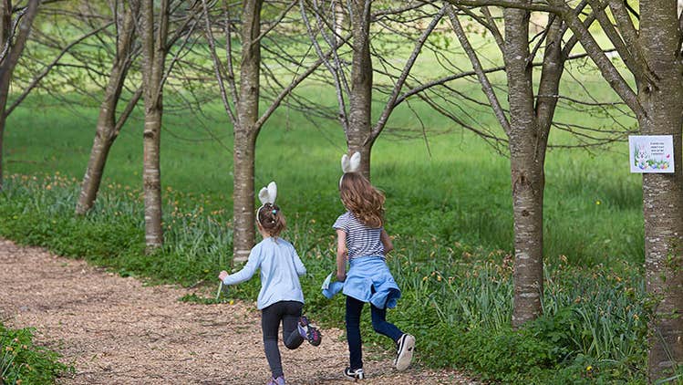 Rear view of 2 young children running along a path lined by small, bare trees.
