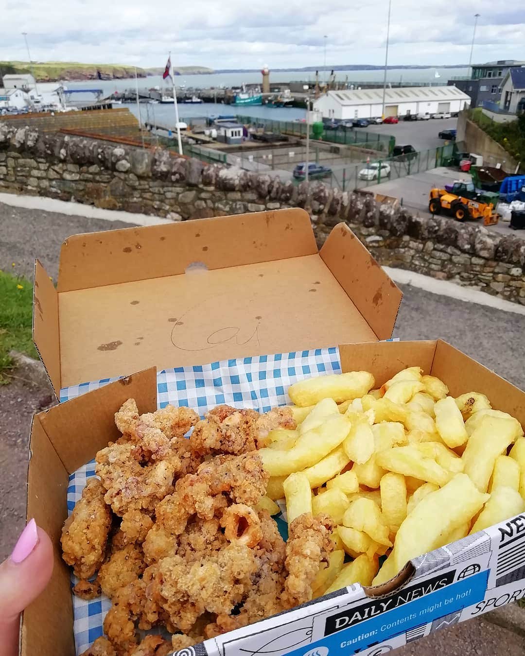 A container of fried fish and chips