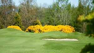 The 1st Hole