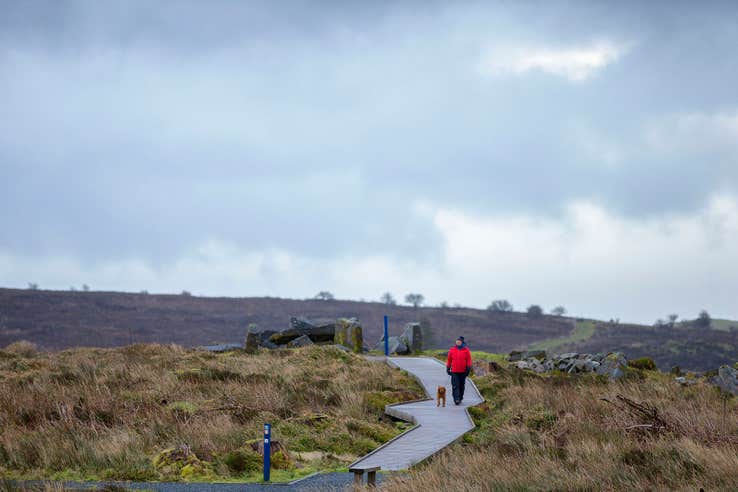 A person walking their dog through Cavan Burren Park in County Cavan
