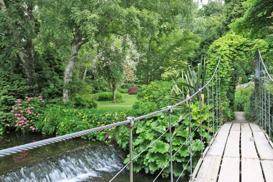 Mount Usher Gardens views of the footbridge, waterfall, flowers and mature trees
