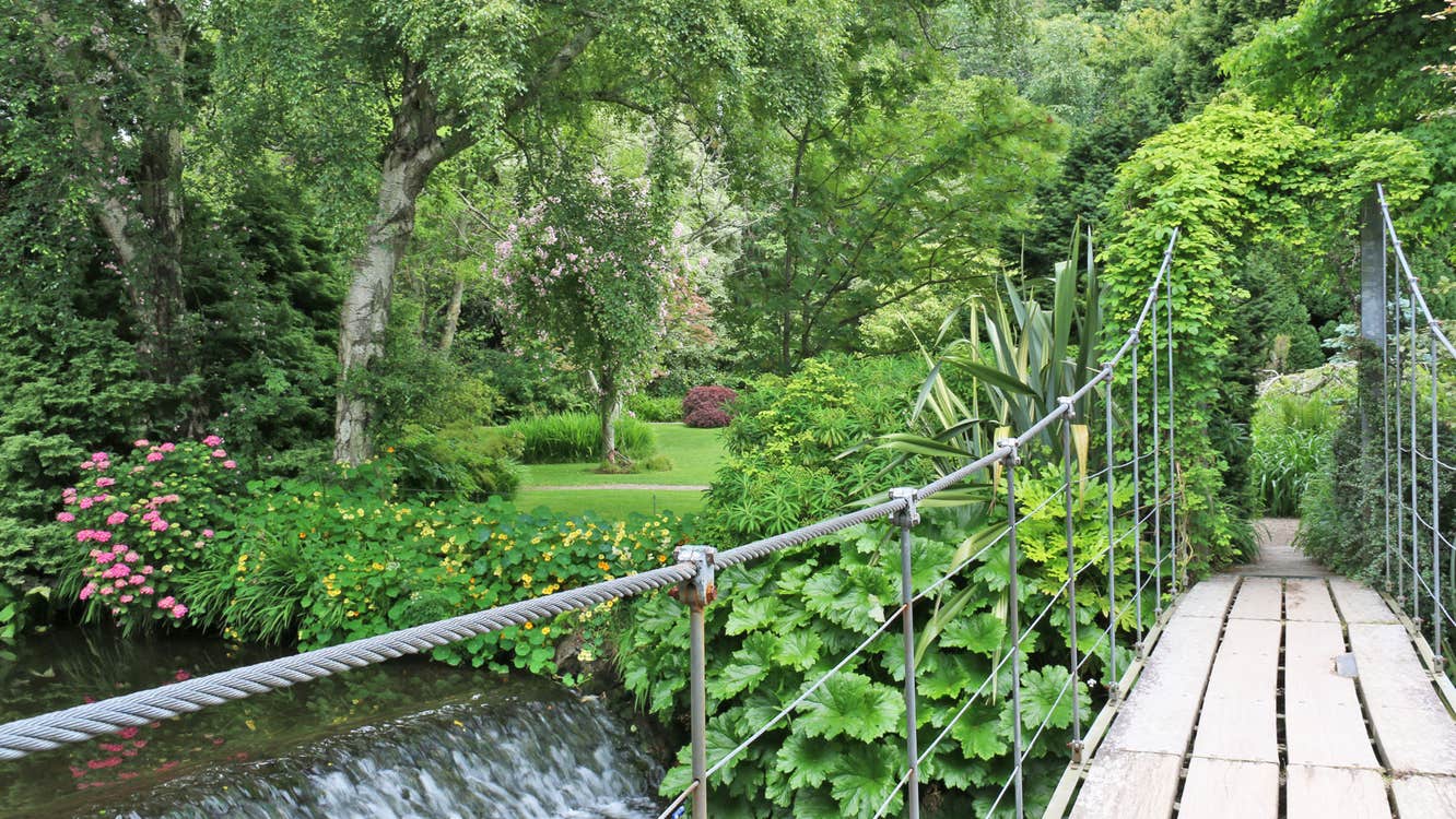 Mount Usher Gardens views of the footbridge, waterfall, flowers and mature trees