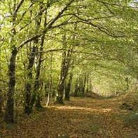 Old Mill Loop