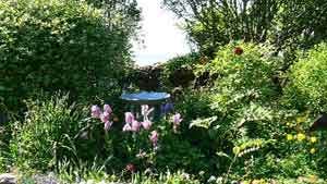 Secret Gardens Sligo