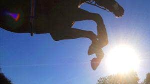 Irish Thoroughbred Marketing