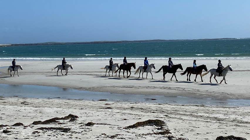 A beach ride with The Point Pony Trekking and Horse Riding