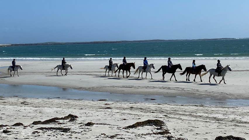 A beach ride with The Point Pony Trekking and Horse Riding
