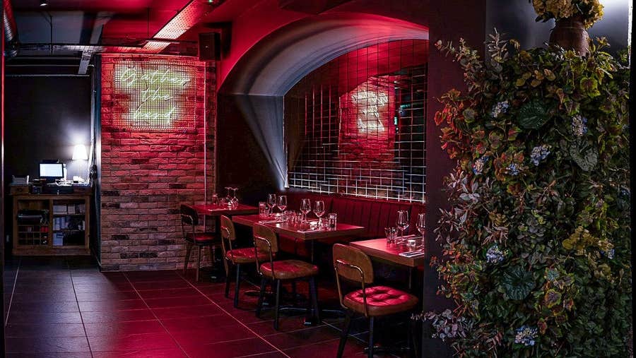 The interior of Bovinity