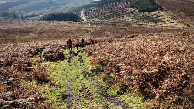 The Blackstairs Ridge Walk: Drummond to Knockmulgurry