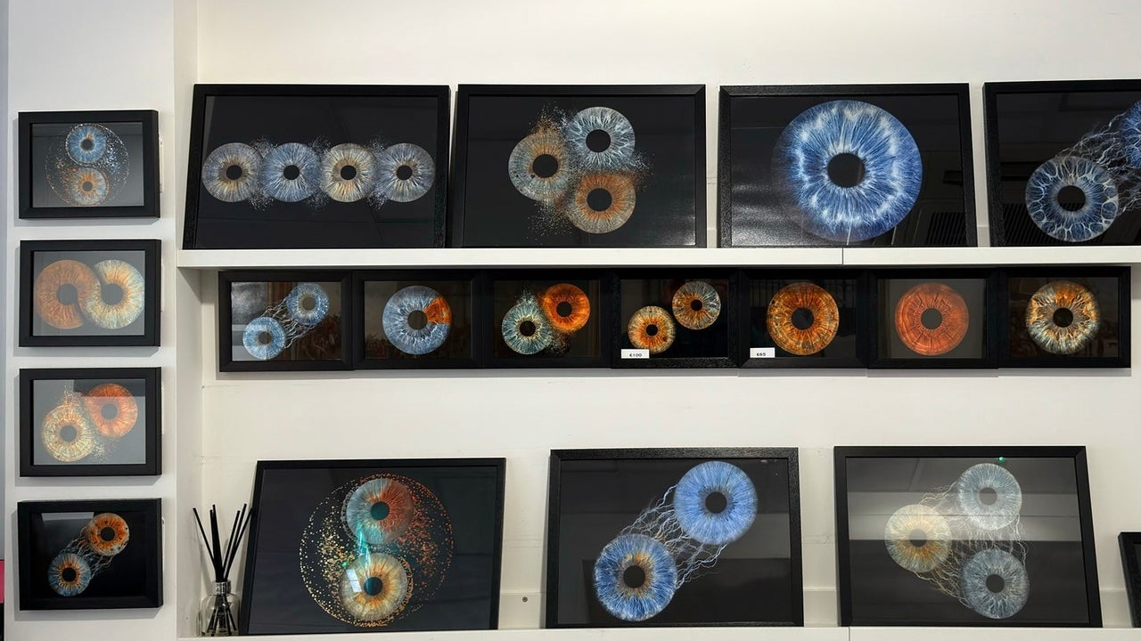 Rows of framed pictures of irises on a wall